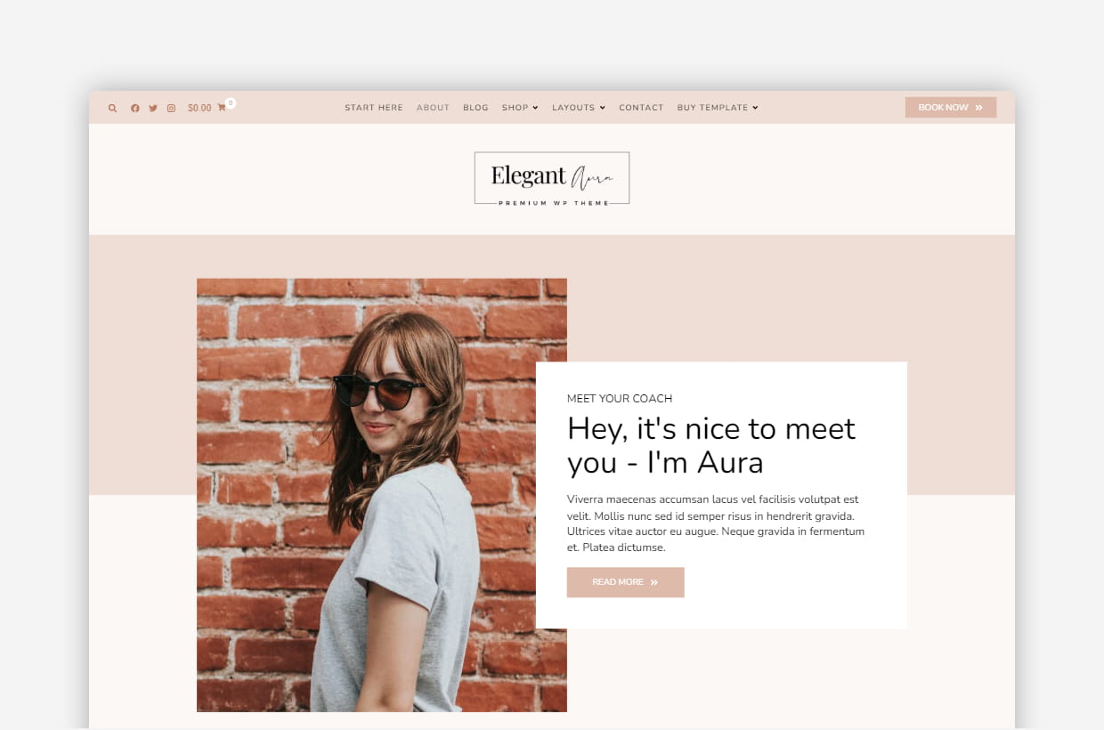 WordPress Theme Elegant Aura