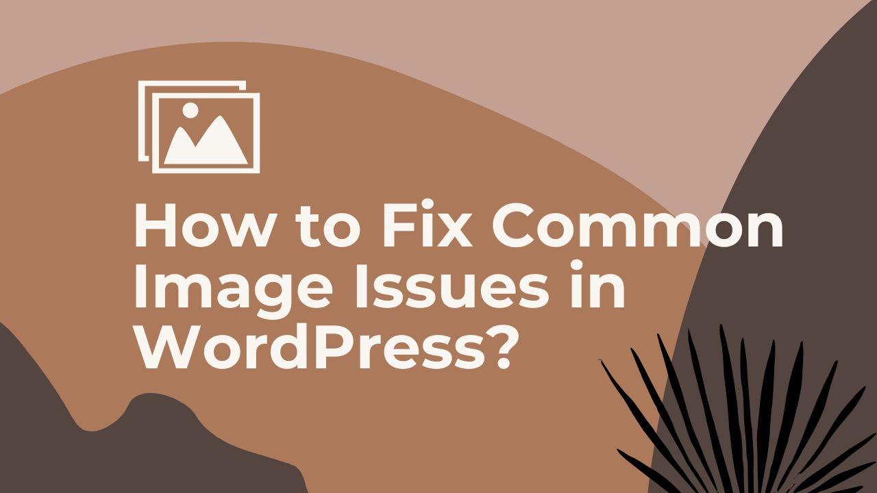 How to Fix Common Image Issues in WordPress?