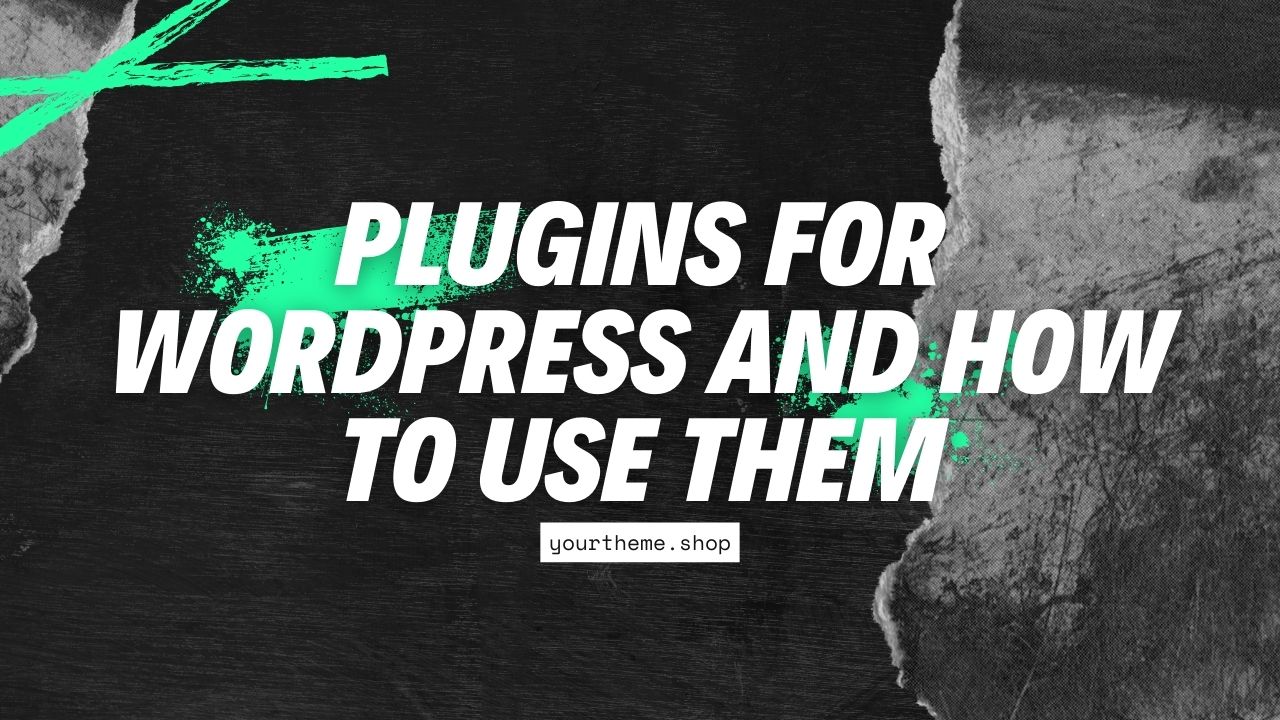 Plugins for WordPress and How to Use Them